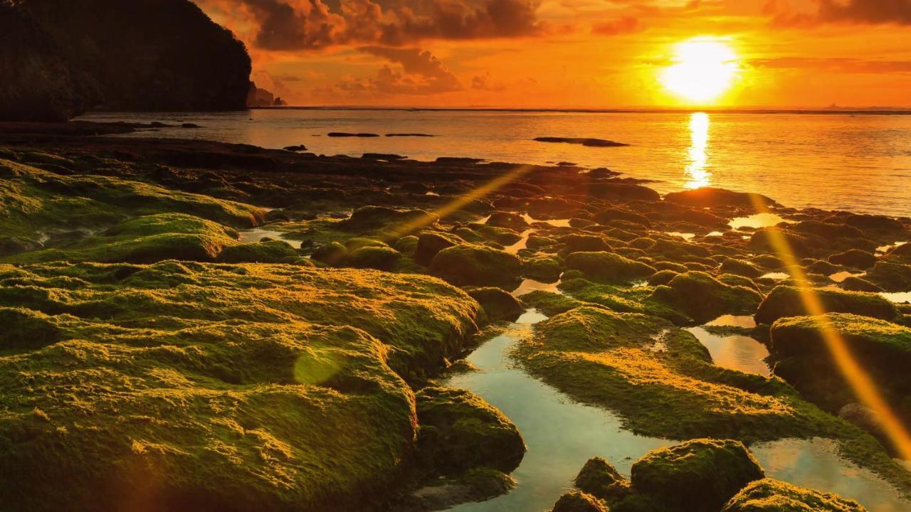 Bale Bingin Beachfront Stay Uluwatu  Bagian luar foto